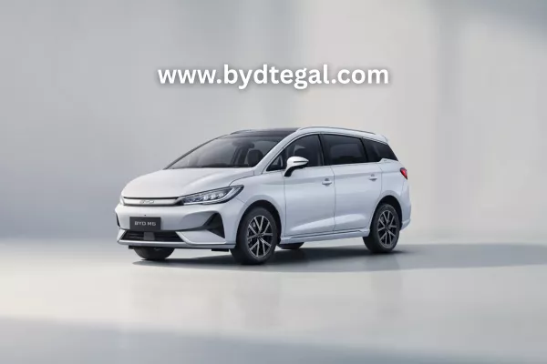 BYD M6 Tegal